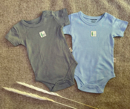 Organic BamBoo Bodysuit Set - Blue & Grey